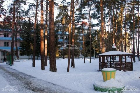 Лесники курганская область