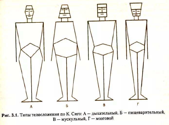 Фигура человека название. Астеник пикник Атлетик Диспластик. Схема французского врача Клода сиго.