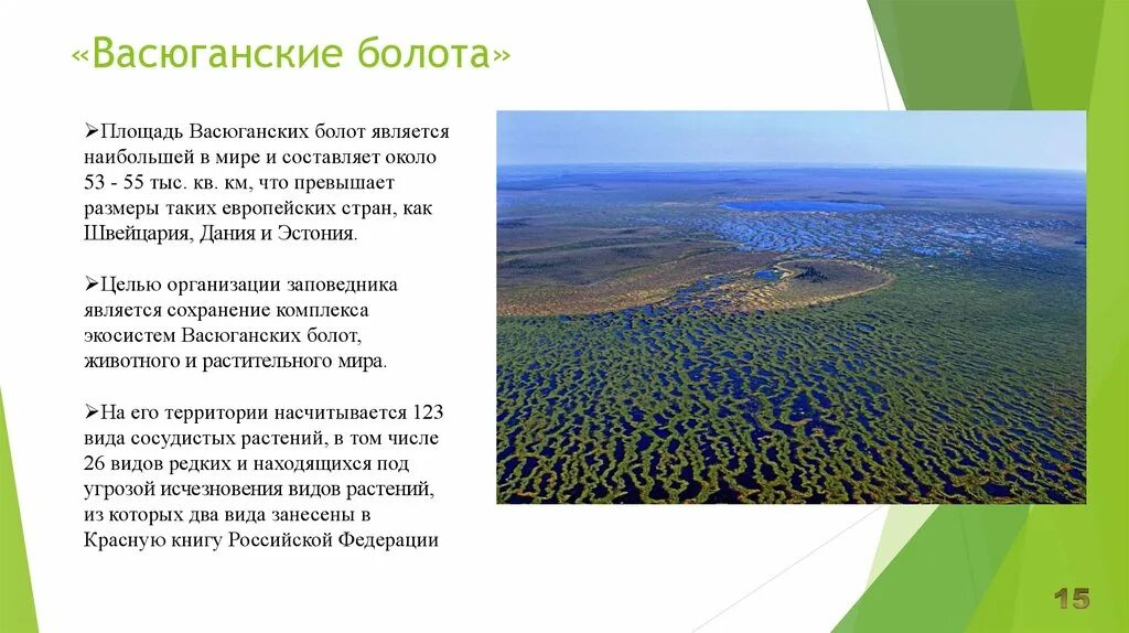 Васюганский заповедник в Новосибирской. Болото в Томской области. Западно Сибирская равнина Васюганское болото. Большое Васюганское болото на карте России.