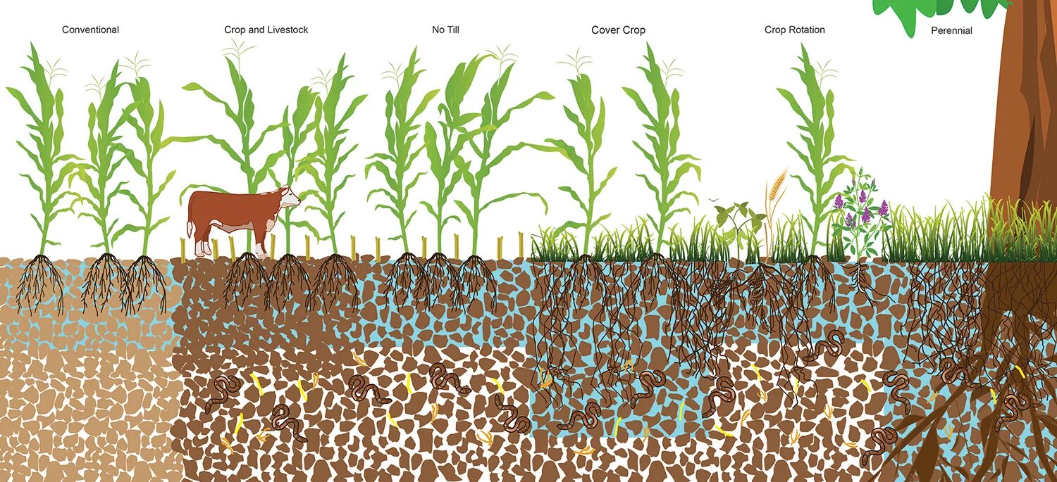 Ноу Тилл для разных почв. Осаждение почвы. Техника для ноу Тилл. Soil Analysis.