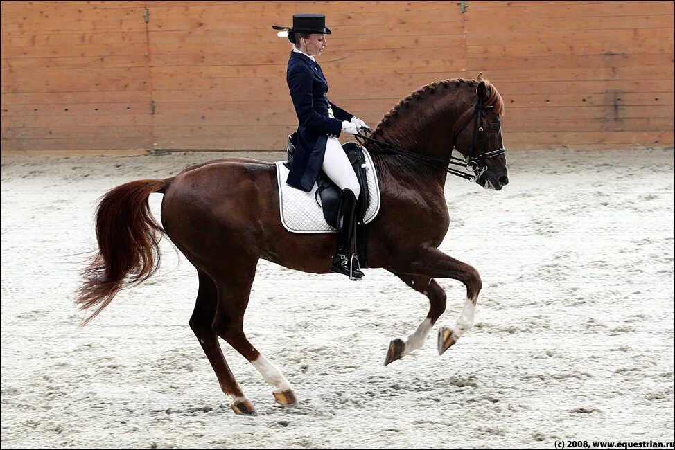 кюр конный спорт. конно спортивная школа 21. юлия принцева конный спорт.