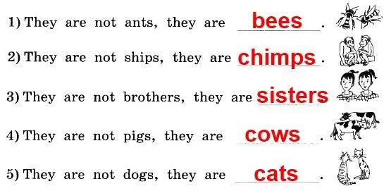 Впиши в эти предложения слова вместо картинок they are not Ants they are. They are not Ants they are Bees. Послушай диалоги этих людей и напиши в какой очередности. Step 50 2 класс. Степ 50 2 класс рабочая