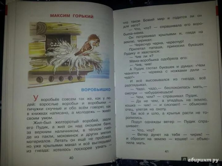 Желторотый пудик жил был воробей звали его. Жил был желторотый воробей звали его пудик. хрестоматия для подготовительной группы. хрестоматия. старшая группа детского сада.