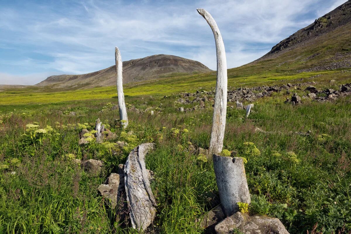 Китовая аллея, остров итыгран, чукотка. Китовая аллея на острове итыгран. Китовая аллея, остров итыгран, чукотка. Китовая аллея на острове итыгран. Китовая аллея чукотка.