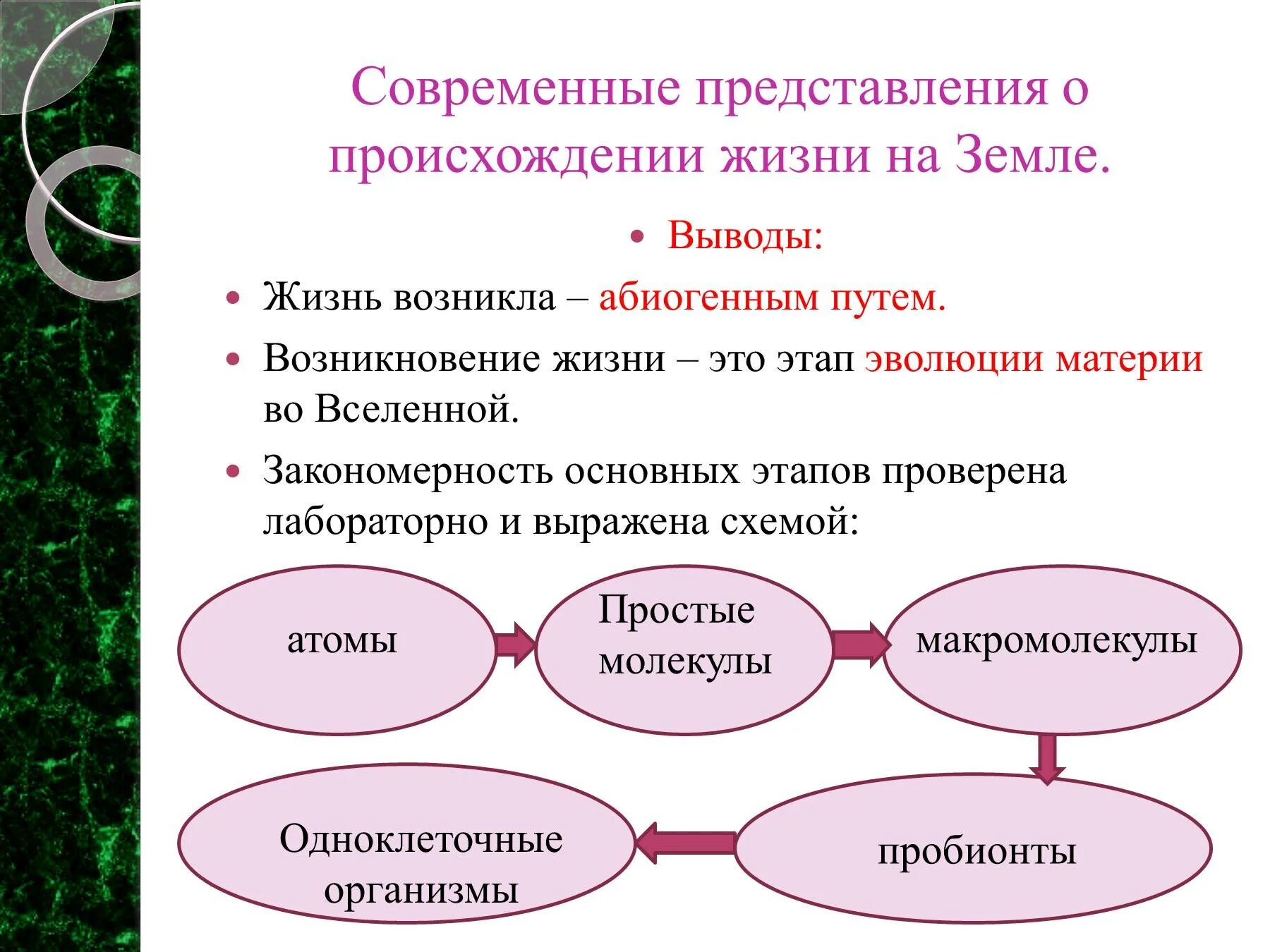 Гипотеза развитие жизни на земле