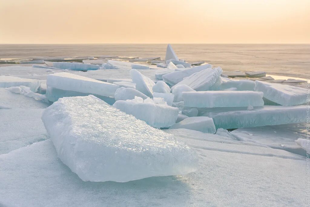 Торосы что это. Ледяные Торосы на финском заливе. Финский залив зимой Торосы. Торосы на Ладожском озере. Торосы в Питере.