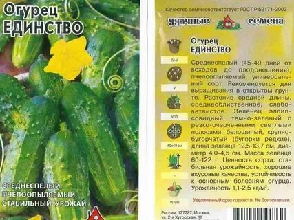 Какие посадить огурцы сорт