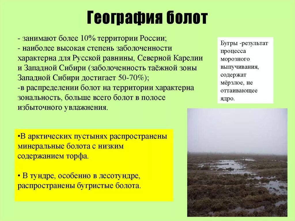 Болото конспект урока. Болота это в географии. Краткая характеристика болот. Презентация о болотах 6 класс. Видовая структура болота.