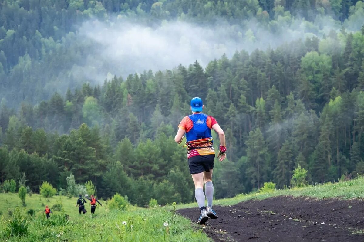 Вилд трейл. Манжерок Wild Trail 2023 концерт. Знаменитости в Манжерок. Трасса на 15 км Манжерок Wild Trail 2023.