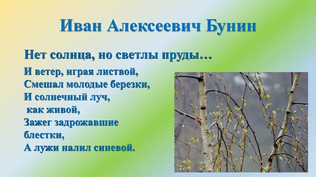 Нет солнца но светлы пруды Бунин. Стихотворение Бунина нет солнца но светлы пруды. И ветер играя листвой смешал молодые Березки. Стихотворение бунина береза