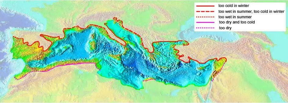 Средиземноморский климат территория. Климатическая карта Средиземноморья. Средиземноморский климат карта. Средиземноморский климат Европы. Средиземноморский климат климатические зоны.