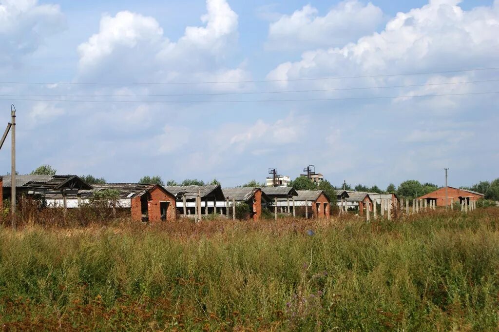 Фермерство в россии. Спк малахово тульская область. Гавриш алексинский питомник. Тульский совхоз. Тульский совхоз.