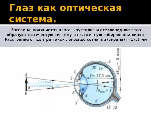 Глаз доклад по физике. Устройство глаза как оптической системы физика. Глаз как оптическая система. Характеристика оптической системы глаза. Строение человеческого глаза как оптической системы.