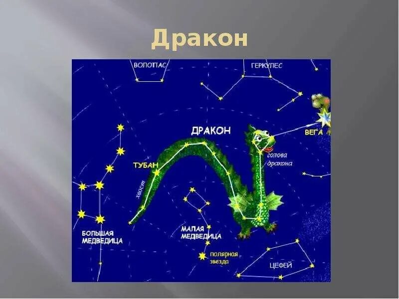 Созвездия для первоклассников. Звезды созвездия дракон Кассиопея. Самая яркая звезда в созвездии дракона. Схема созвездия дракон самая яркая звезда. Дракон Созвездие схема с названиями звезд.