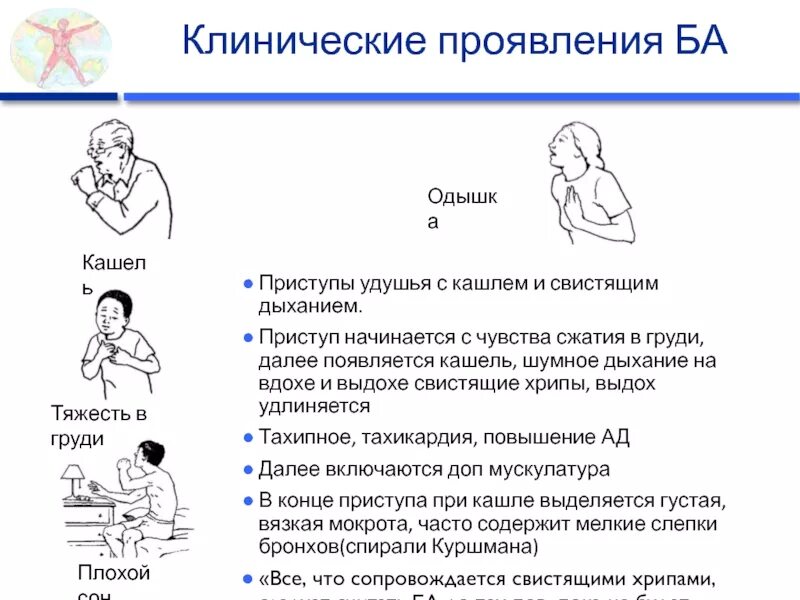 Свист при выдохе в лежачем положении. Хрипы в груди при выдохе. при вдохе хрипы в грудной клетке. причины хрипов при дыхании у взрослого. хрипы и свисты при дыхании у взрослого.