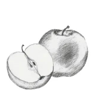 Как нарисовать яблоко карандашом