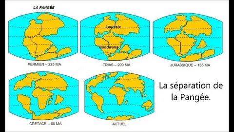 Пангея екатеринбург