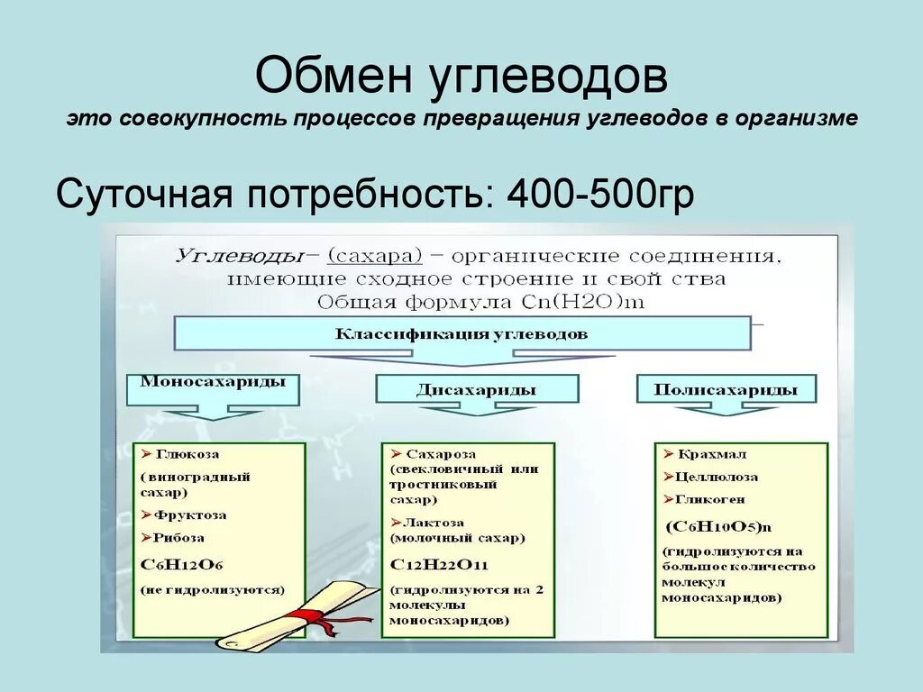 Распад углеводов в организме. Обмен углеводов функции углеводов суточная норма. Схема обмена веществ углеводов. Процесс углеводного обмена схема. Этапы углеводного обмена в организме.