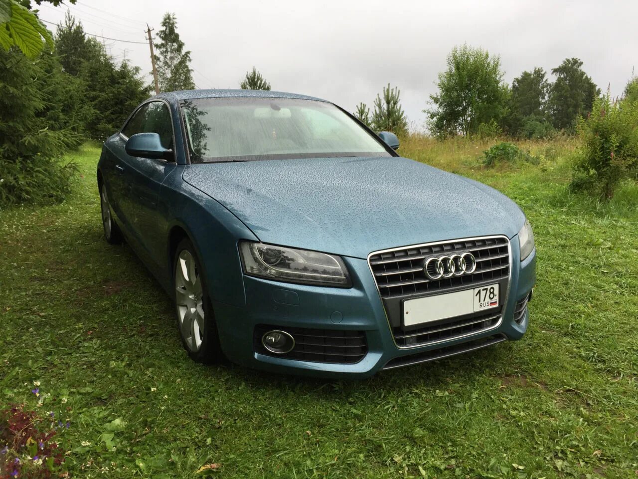 Авито купить ауди 5. Audi Питер. Ауди Питер. Ауди СПБ авито. Ауди купить в СПБ.