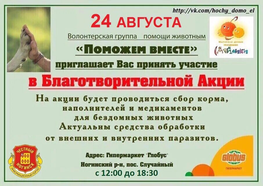 Благотворительная акция по сбору корма для животных. Благотворительная акция для животных. сбор корма для животных акция. собираем корм для животных акция. объявление о сборе корма для животных.