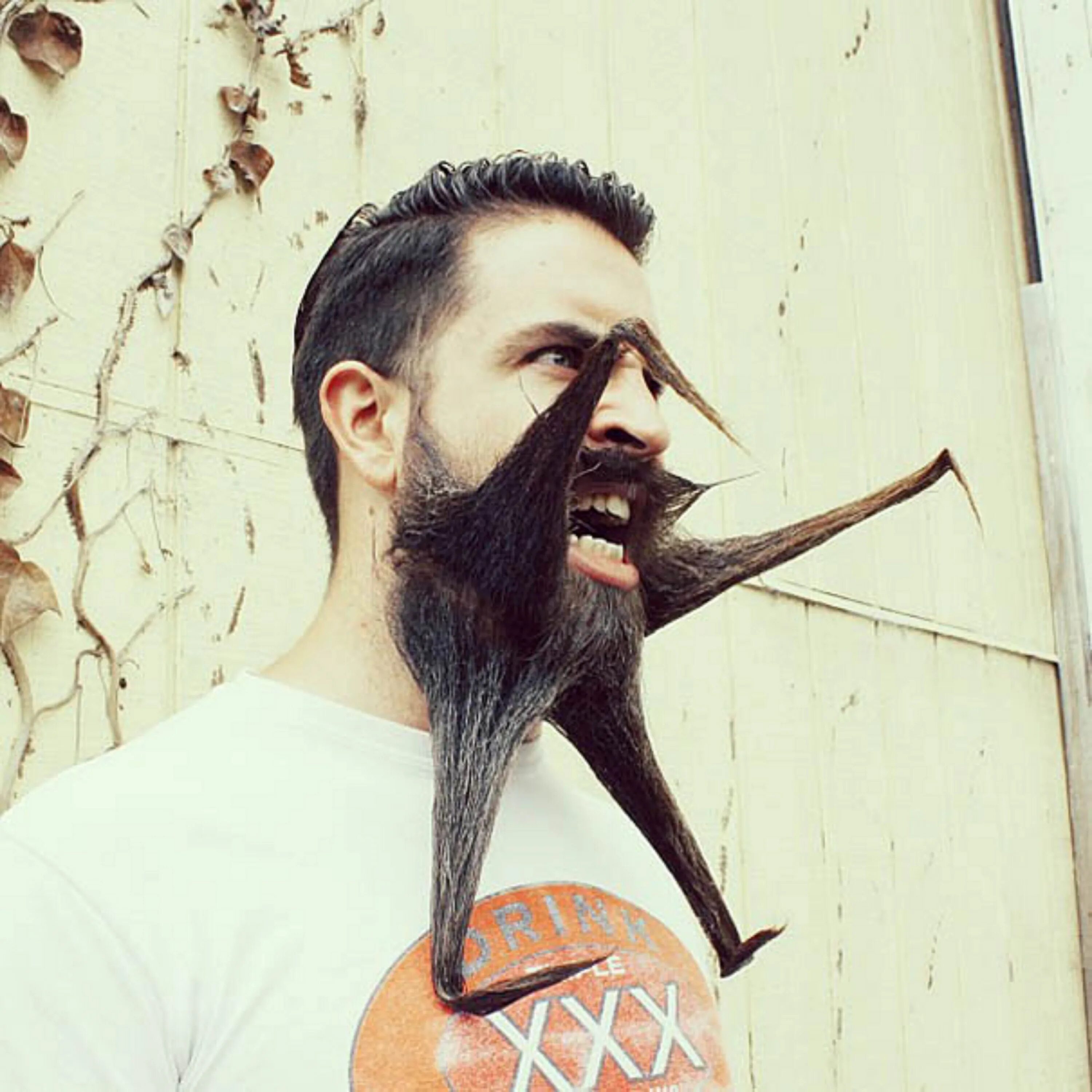 Креативная борода. Необычные стрижки бороды. Необычная борода. Смешная борода. Самый смешной мужчина