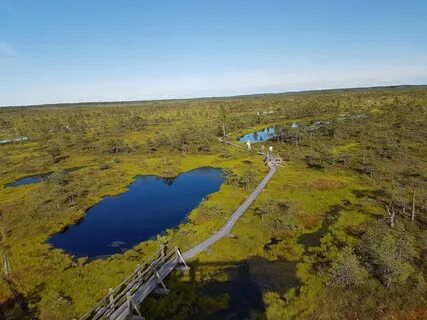 Недалеко от озера находится болото