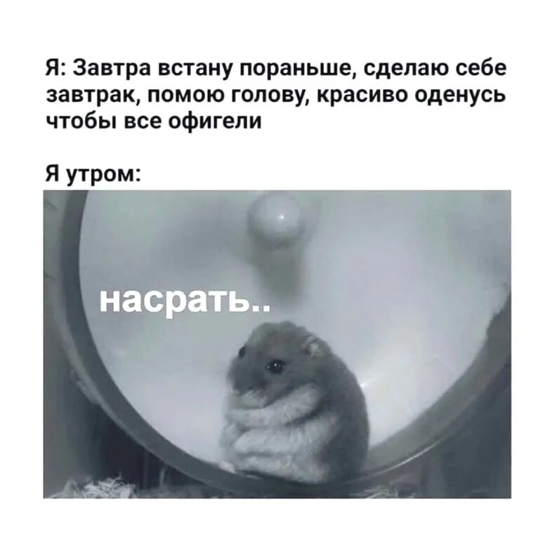 Встаньте пораньше утром быстро сделайте зарядку позавтракайте. Завтра встану пораньше помою голову. завтра встану пораньше. завтра встану пораньше накрашусь. я: завтра встану пораньше.