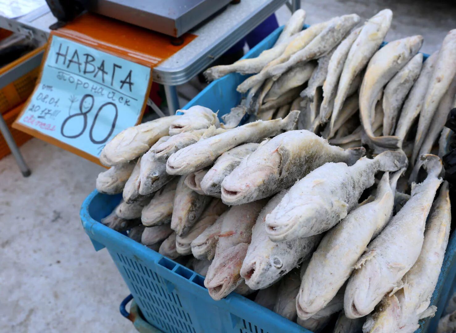 Южный сахалин купить. Навага Сахалинская. Навага Охотское море. Навага Сахалин. Магазин остров Сахалин рыбный.