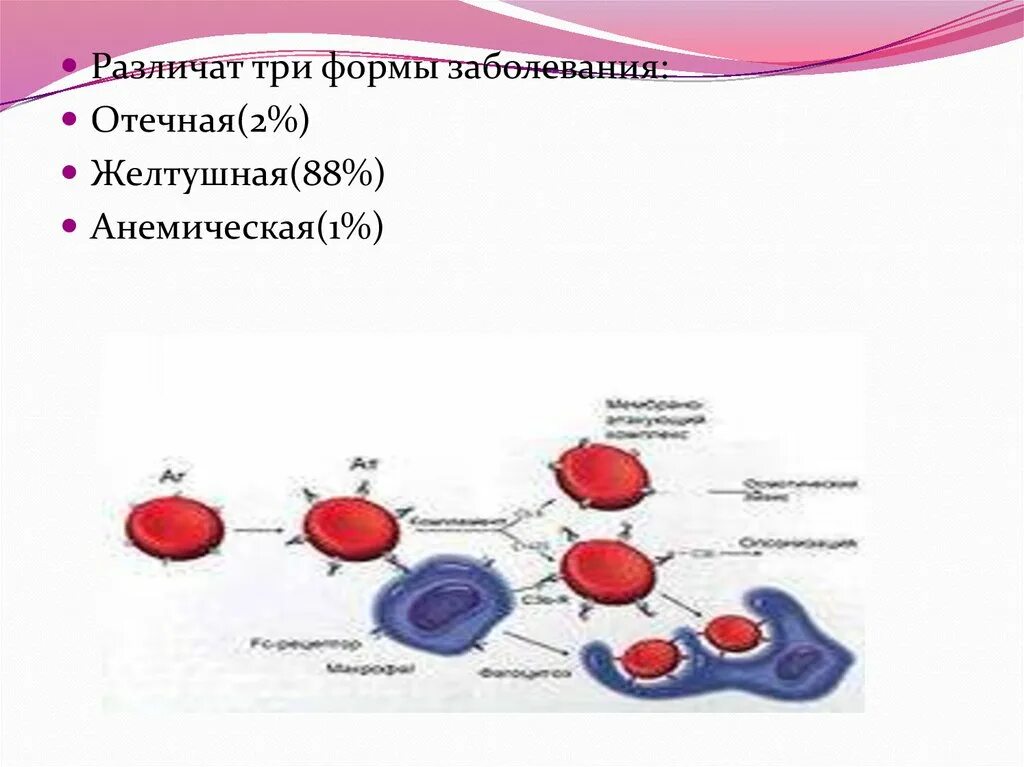 Заболевание разрушение эритроцитов
