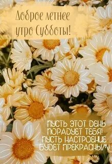 Доброе утро воскресенья августа картинки