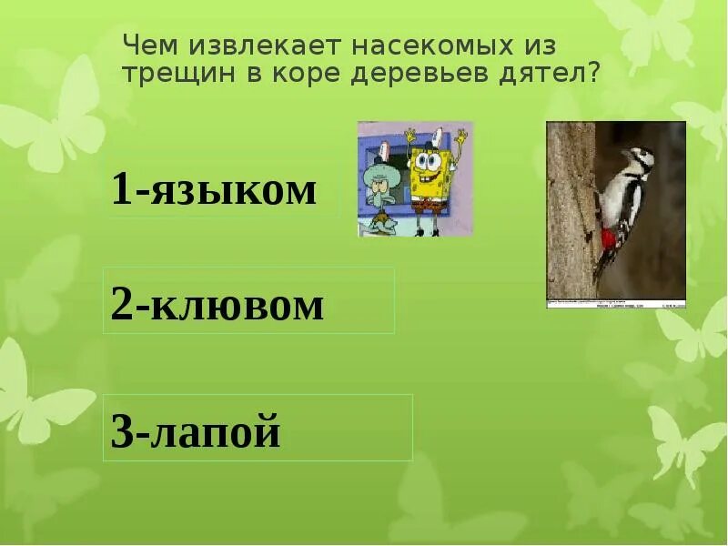 Дятел составить предложение 2 класс. Дятел составить предложение 2 класс