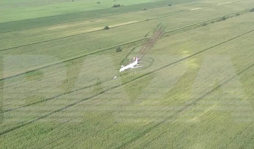 Какой самолет посадили в поле. Аварийная посадка airbus a321 под жуковским. чудо на кукурузном поле — посадка а321 в подмосковье. самолет в поле жуковский. самолёт сел на кукурузное поле в жуковском кратко.