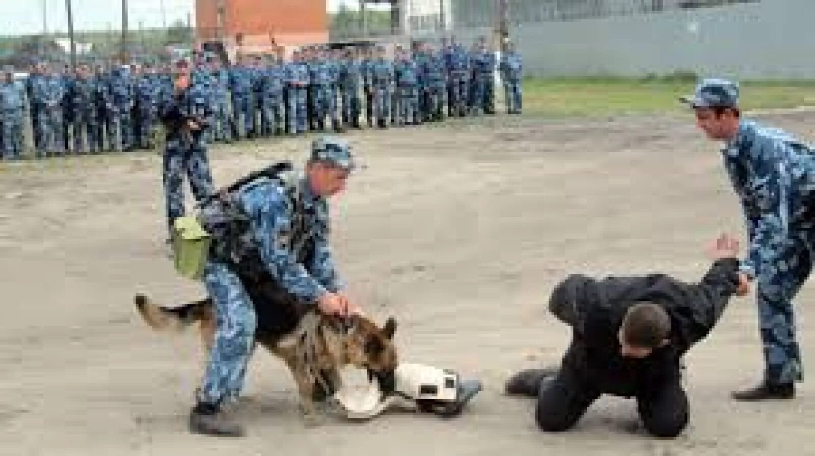 Нападение на учреждение. Вооружение ФСИН России. Отдел охраны ФСИН. Сотрудник ФСИН. Физическая сила к осужденным.