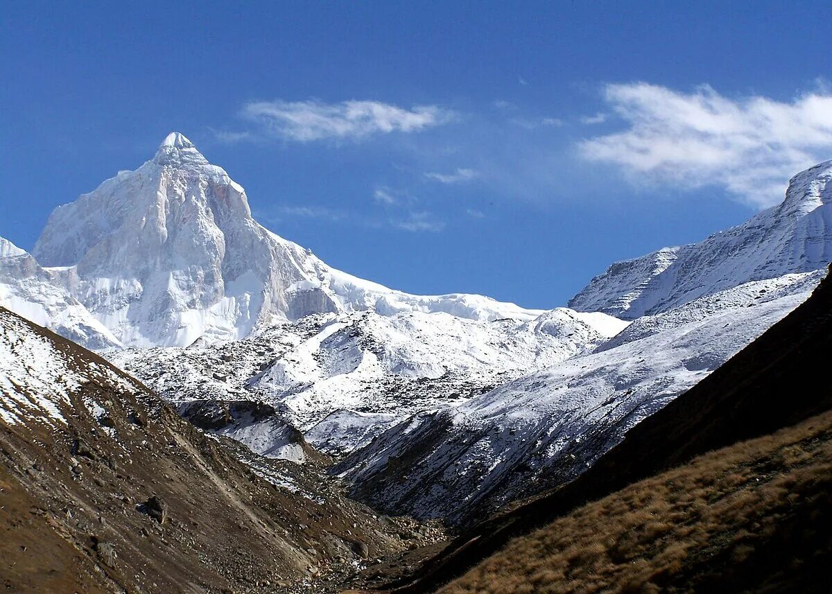 Гималаи высота над уровнем моря. Гималаи. Сагар. Гималаи по англ. Кедартал.