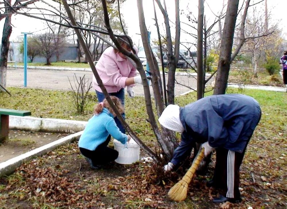 Фотографии осенних работ в твоей семье. Семья в огороде. Осенние работы в семье. Подготовка деревьев и кустарников к зиме осенью. Фотографии осенних работ в семье.
