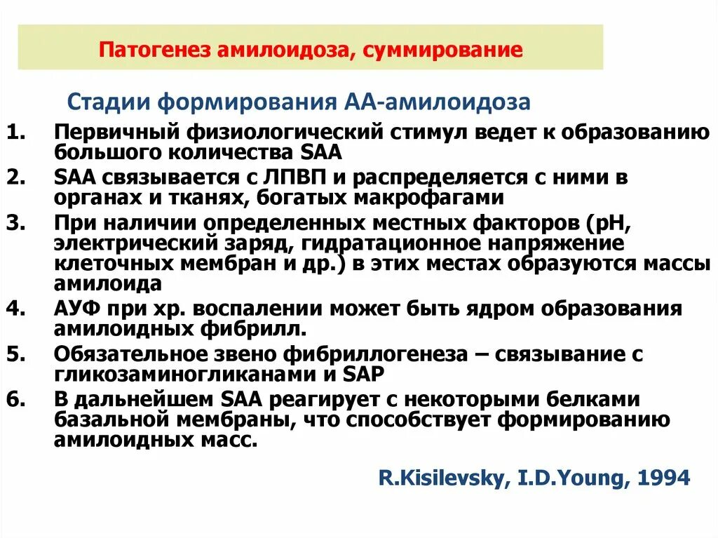Амилоидоз почки этиопатогенез. Патогенез вторичного амилоидоза. Механизм развития амилоидоза. Механизм амилоидоза. Амилоидоз почек этиология патогенез.