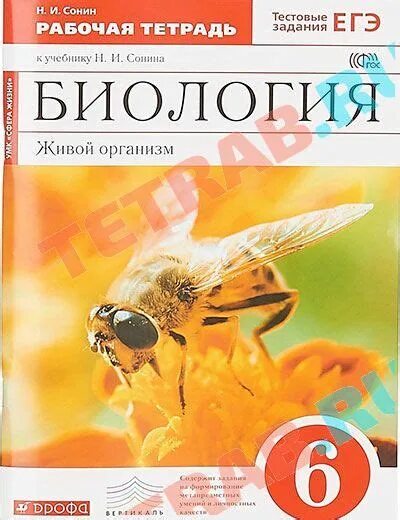 Рабочая тетрадь по биологии читать. Рабочая тетрадь по биологии 6 класс с пчелой. Учебник по биологии 6 класс Сонин с пчелой. Биология 6 класс рабочая тетрадь Сонин с пчелой. Биология 6 класс рабочая тетрадь 6.