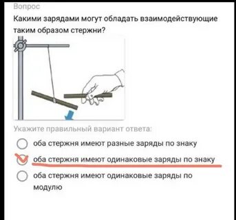 Что придает положительный заряд белкам