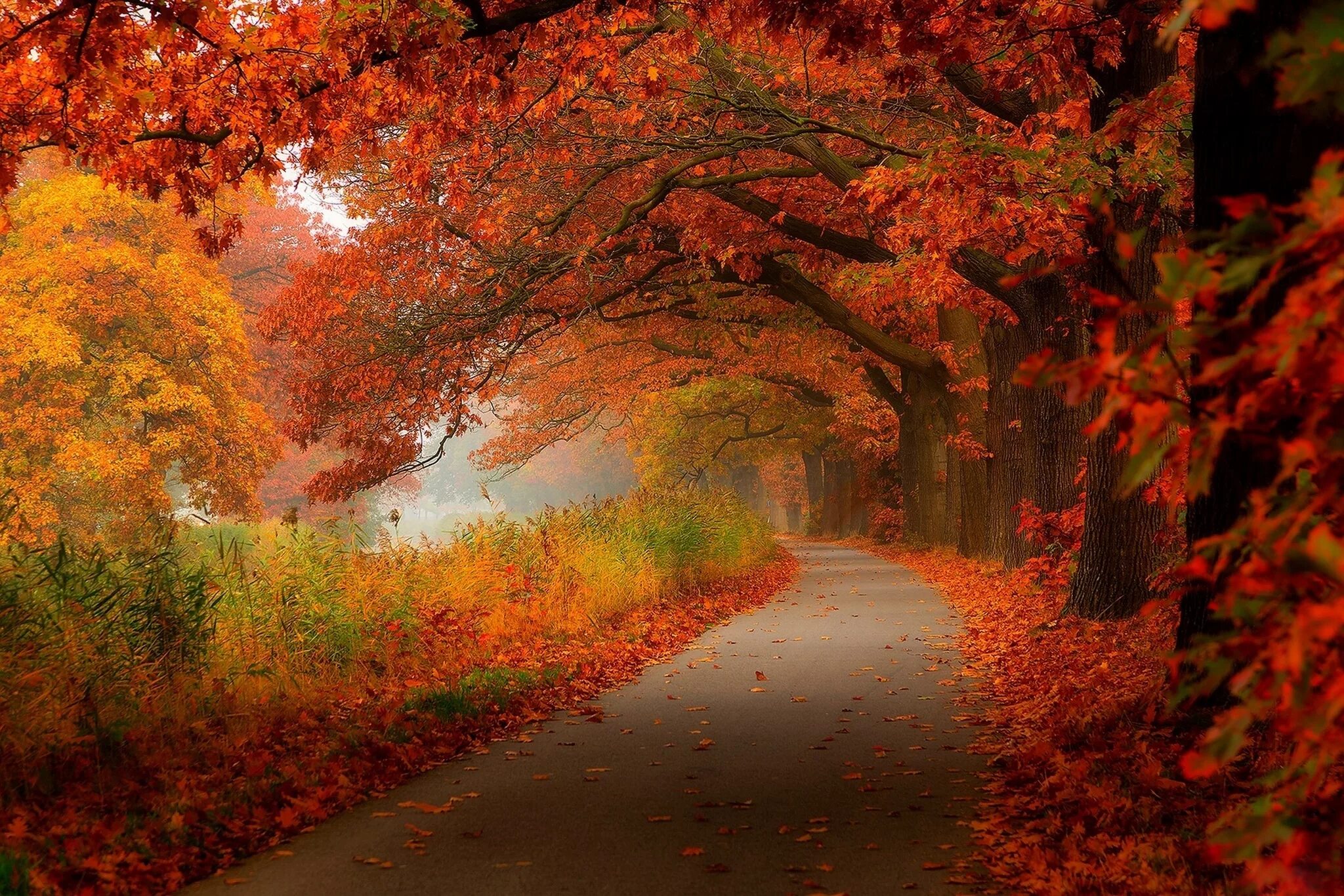 Красивая осень. Осенний пейзаж. Осень картинки. Прекрасная осень. Осень очень красива
