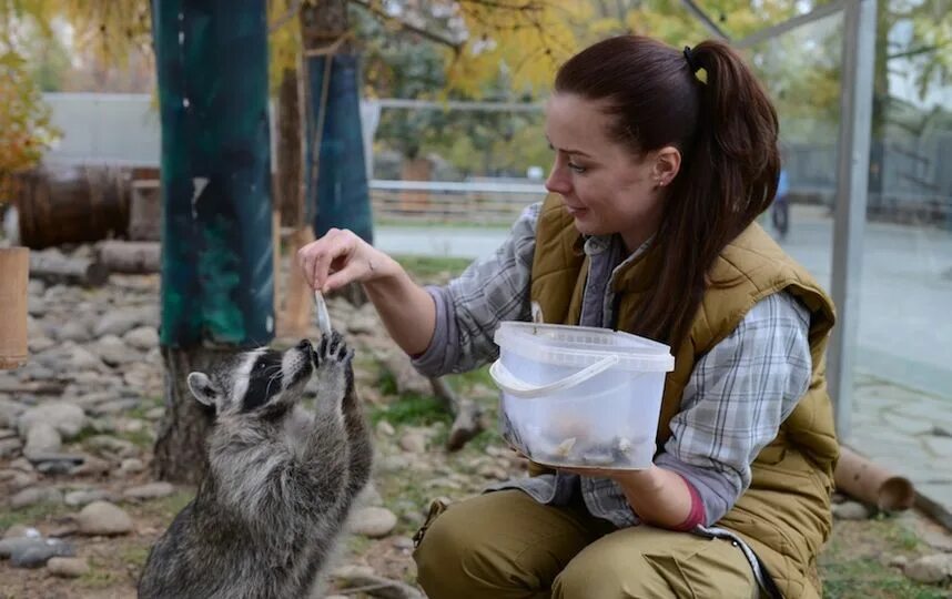 Московский зоопарк фото. Работники московского зоопарка. Панда жуи в московском зоопарке. Специальности в зоопарке. Московский зоопарк сотрудники.