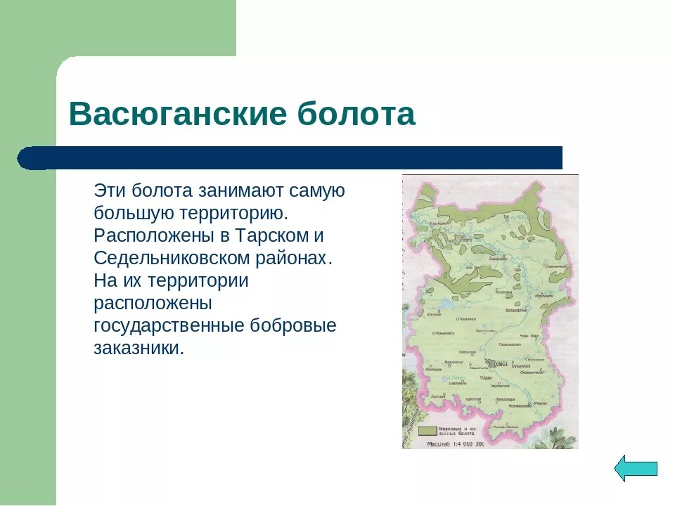 Карта болотистых. Васюганские болота на карте России. Карта Сибири Васюганское болото. Болото Васюганье на контурной карте. Васюганское болото на контурной карте России.