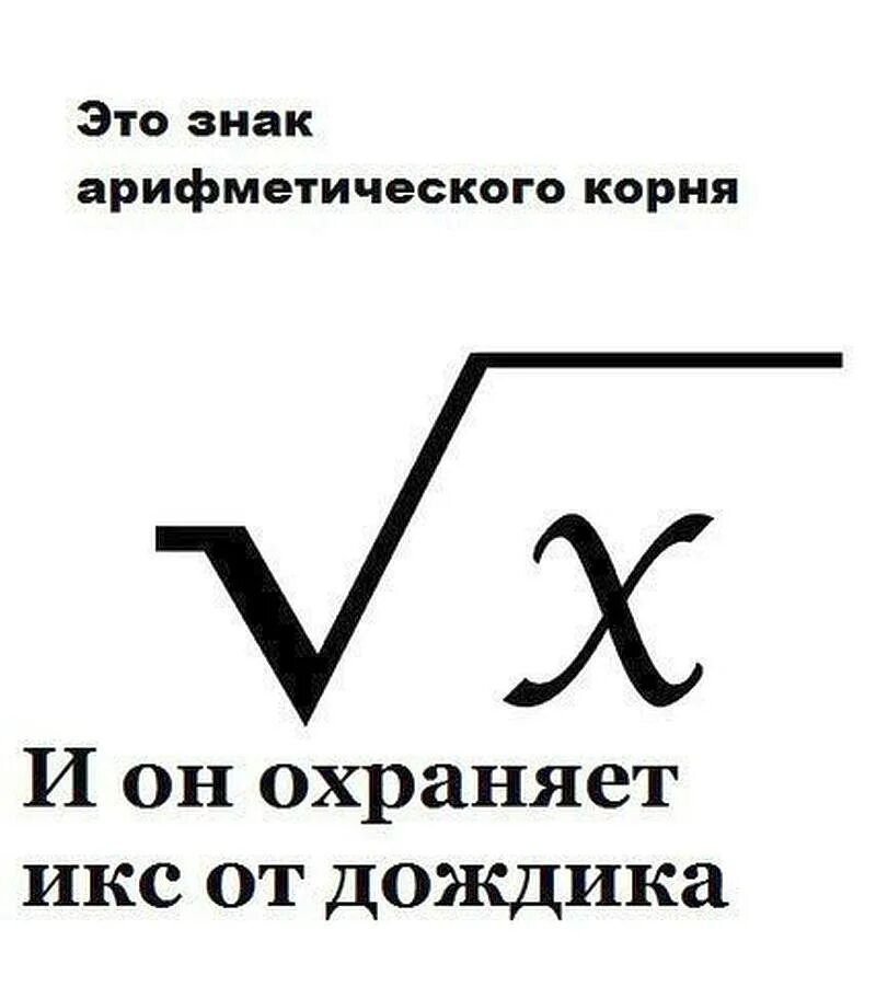 элеутерококк колючий корневища. исчезающие растения республики коми. женьшень. сходства корня и корневища. женьшень аралиевые.