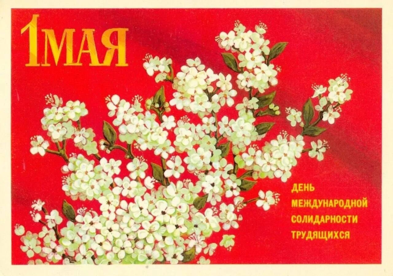 1 мая день интернационала. Мир труд май открытка. открытка 1 мая праздник весны и труда. открытки с майскими праздниками.