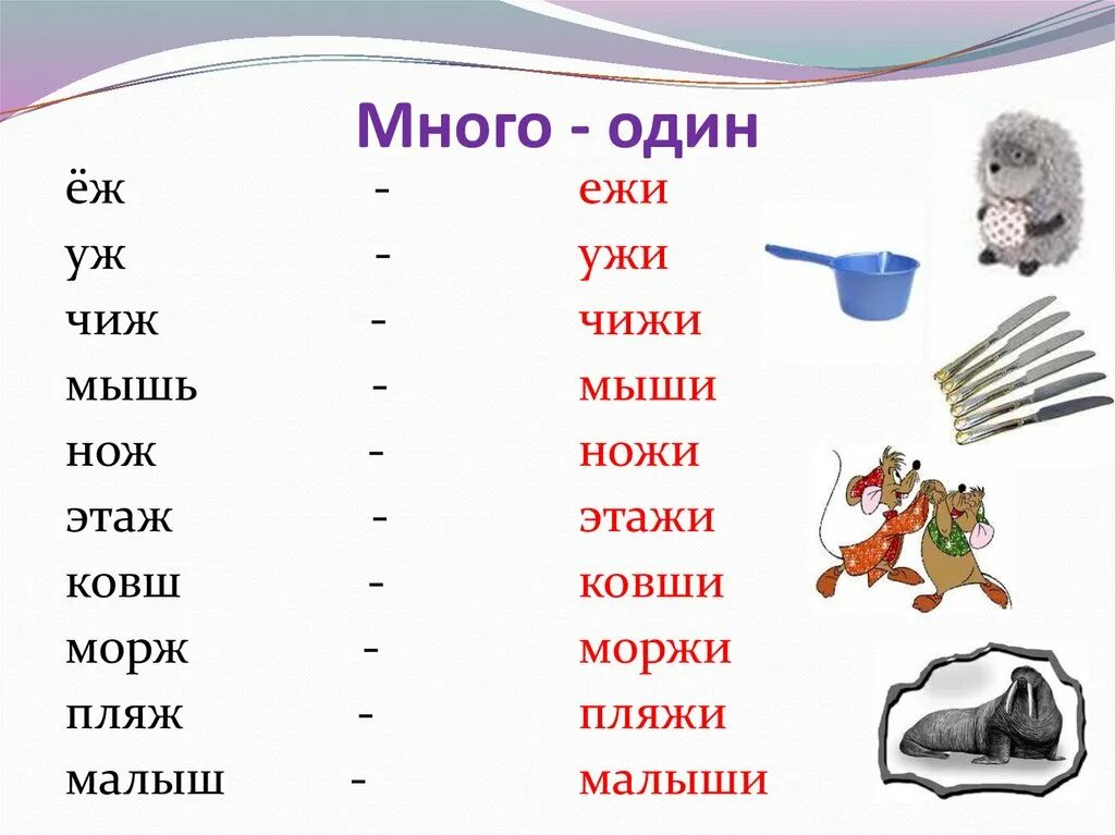 Произнеси пары слов. Слова с ж ш на конце. Слова с парными согласными ж ш. Парные ж ш на конце слова. Ж-Ш парные согласные.