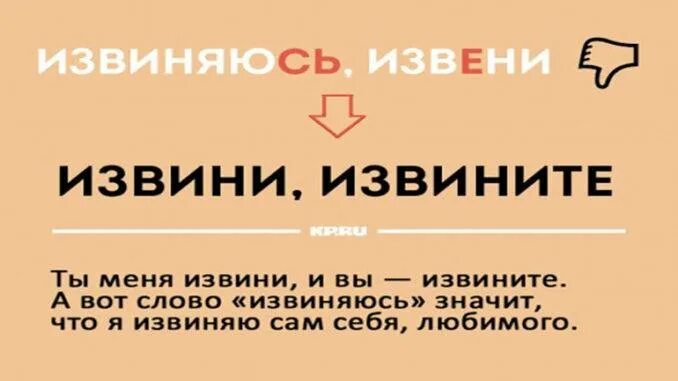 Как пишется извиниться или извениться