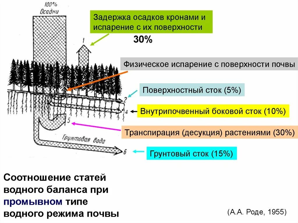 Откуда стока. Испарение с поверхности почвы. Типы водного режима почв. Испарение воды из почвы. Формирование поверхностного стока.