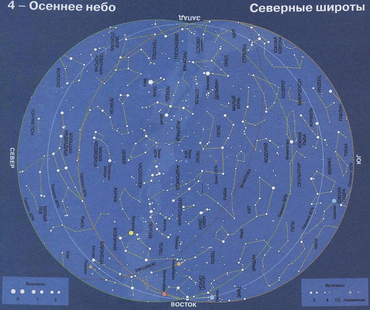 Северный полюс созвездия