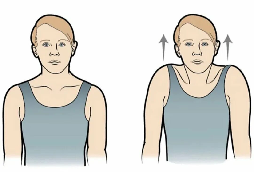 Почему опускаю голову вниз. Пожимание плечами упражнение. Приподнятые плечи. Втянуть голову в плечи. Втянутая голова в плечи.