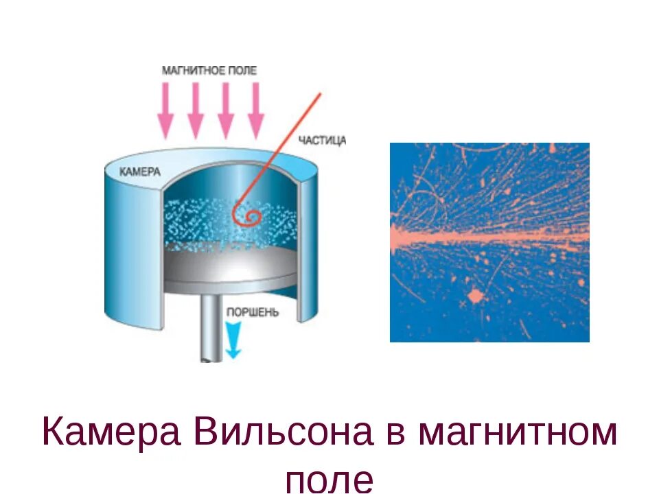 Распад в магнитном поле. Схема строения камеры Вильсона. Камера Вильсона составные части. Схема устройства камеры Вильсона и принцип действия. Камера Вильсона схема принцип работы.