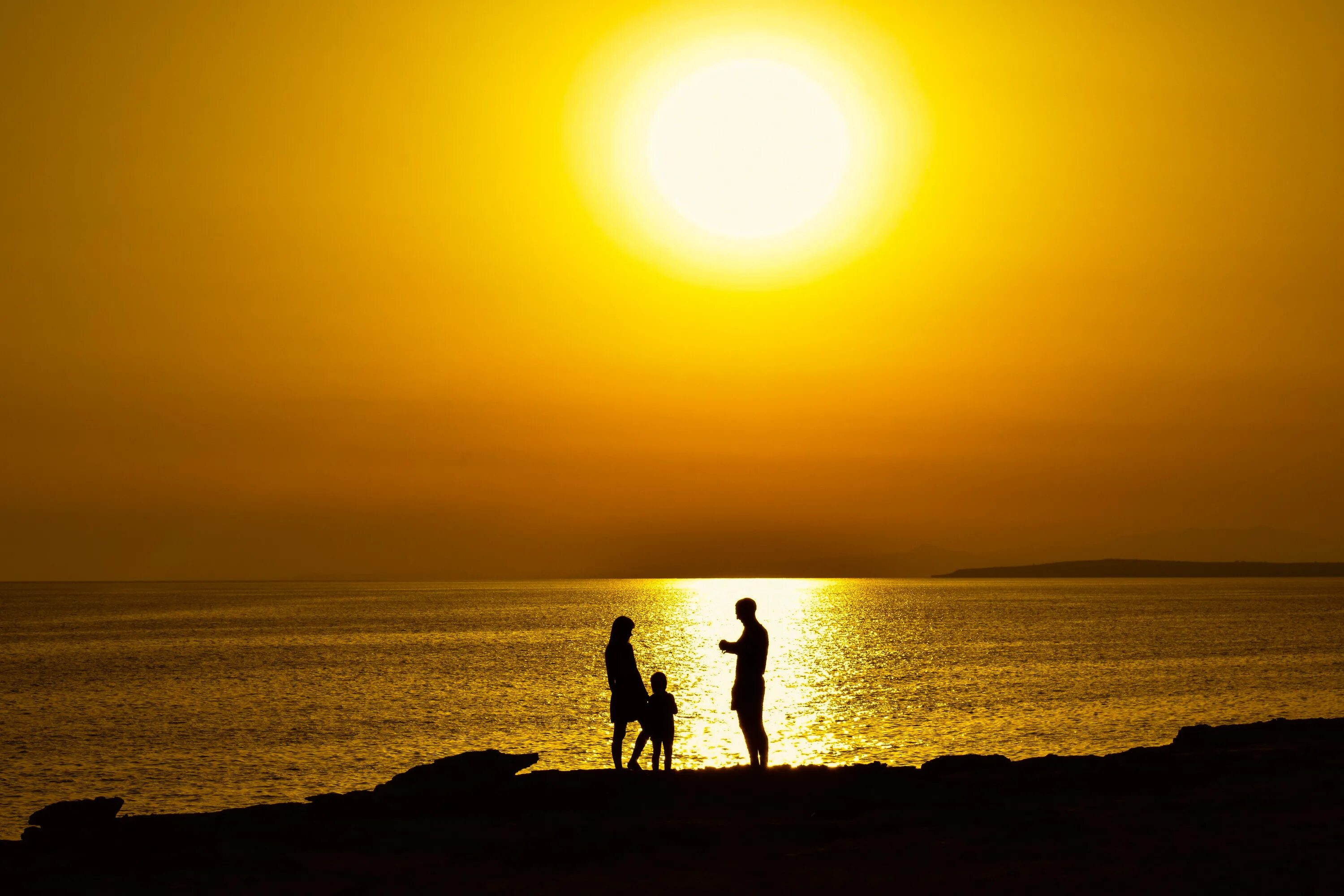 Sun family